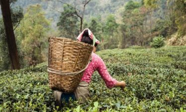 Darjeeling 2N – Kalimpong 1N